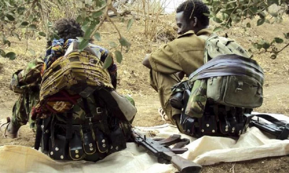 Απελευθερωτικός Στρατός του Oromo: Στο πεδίο της μάχης με Αιθίοπες μαχητές
